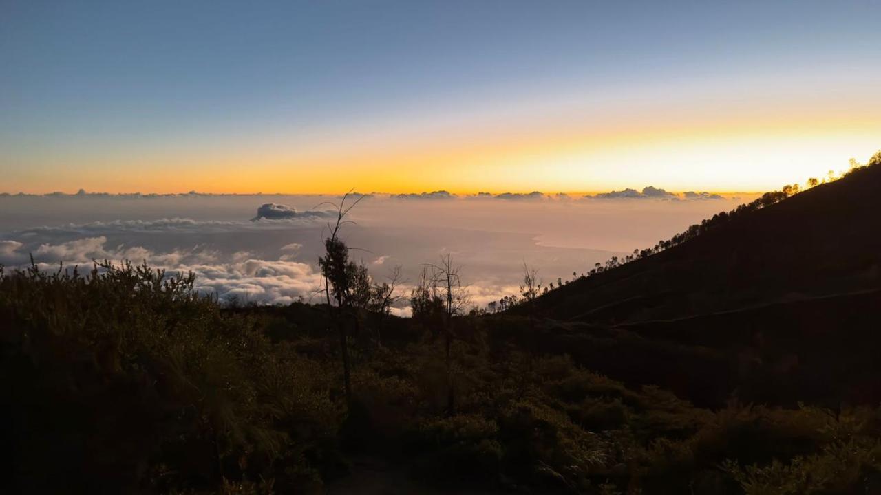 Ijen Transito 2 Homestay Ketapang  Luaran gambar